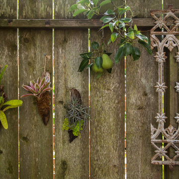 Garden in the Excelsior