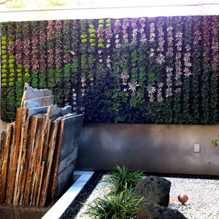 Stilmix Garten mit Pflanzwand in San Diego