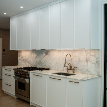 Harmonious Blend: A Tranquil Transitional Kitchen Oasis