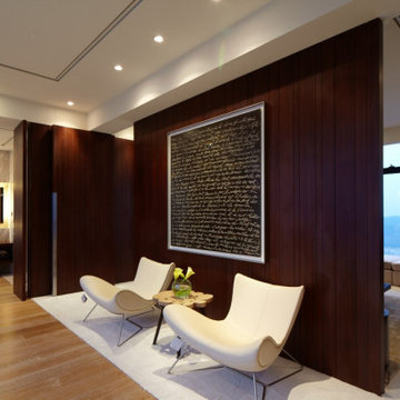 Modern penthouse