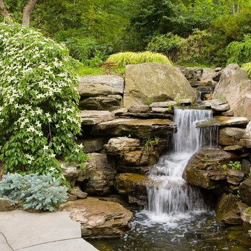 Rustic Koi Pond
