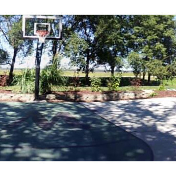 Eric M's Pro Dunk Gold Basketball System: Superior on a 50x35 in Eudora, KS