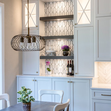 Highlands Ranch Sleek Transitional Kitchen
