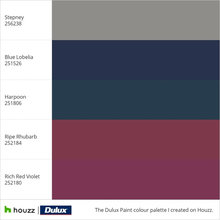 Color Schemes