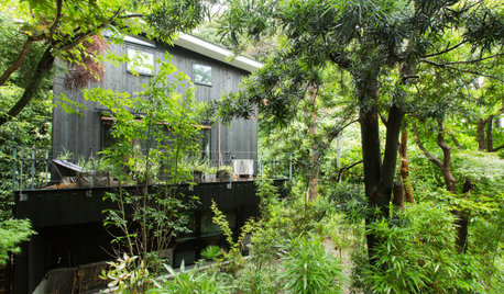 鎌倉の緑に溶け込む、焼杉外壁の3階建て住宅