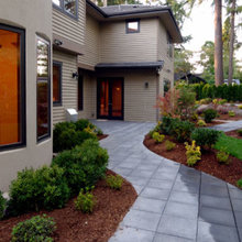 Back Yard landscaping