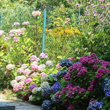 Farben & Perspektiven