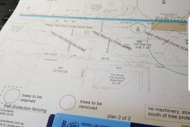 Working on a Tree Protection Plan that is a requirement by Council and accompany