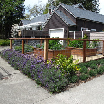 Vegetable gardens
