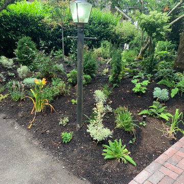 English Garden Meets PNW - NOW