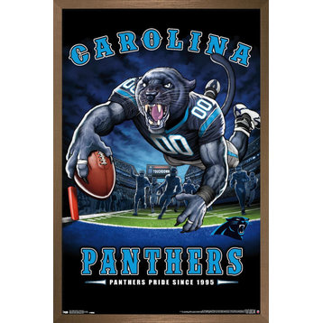 NFL Carolina Panthers - End Zone 17