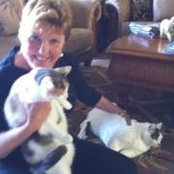 Hilary Sontag's photo