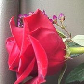 Brenda Doe's photo