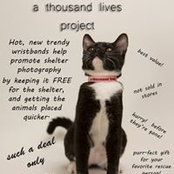 Gil Vela's photo