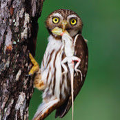 Barrie Zipkin's photo