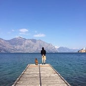 Lutz Haase's photo