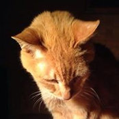 Sato Okoshi's photo