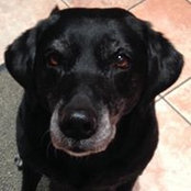 Amanda McClenaghan's photo