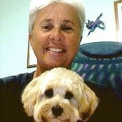 Bev Baccellis foto