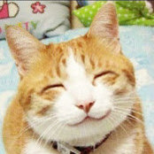 Foto von Neko Neko