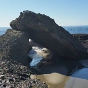 Krista Traynor's photo