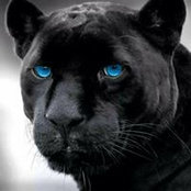 Mike Rogers's photo