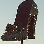Carol Cooney-Taubert's photo