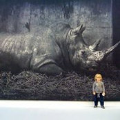 Annabelle Chambon's photo