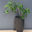 Planted by J&M llc