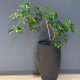 Planted by J&M llc