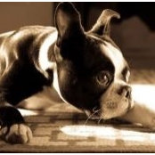 Foto de Teresa Andre_Albuquerque
