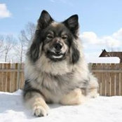 Patrick Moore's photo