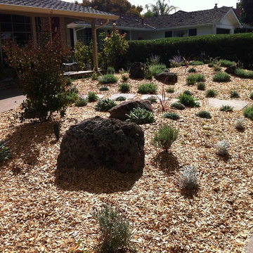 Front Lawn Rebate Project