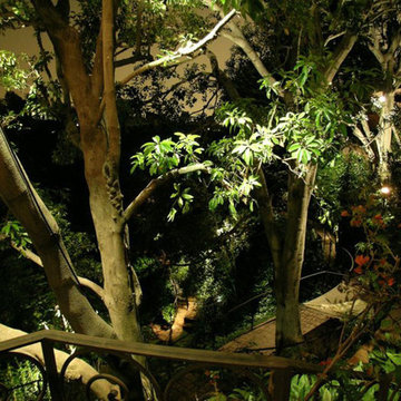 Hollywood Hills Landscape Lighting