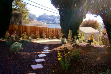 Design ideas for a landscaping in San Diego.