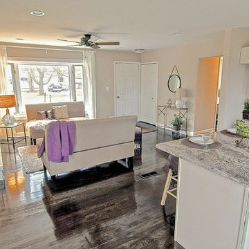 Plymouth Michigan Ranch .. vacant staging