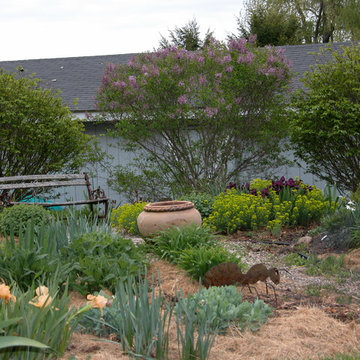 A joyful perennial garden, Sudbury MA