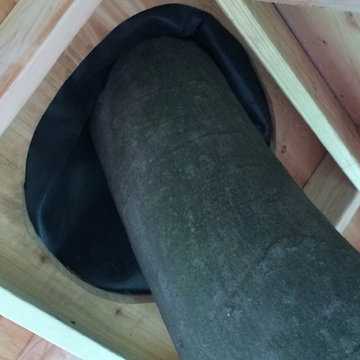 Make-a-Wish Tree House
