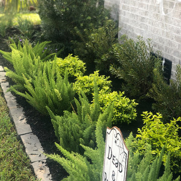 Pool Refurbish & New Landscape