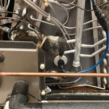 Mold Reduction System Repair