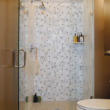 Shower Mosaic