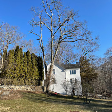 Tree Removal Services in Danbury, CT