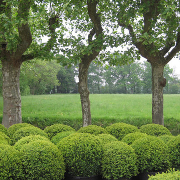 Classique Jardin