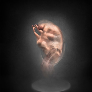 Hybrid Souls 01