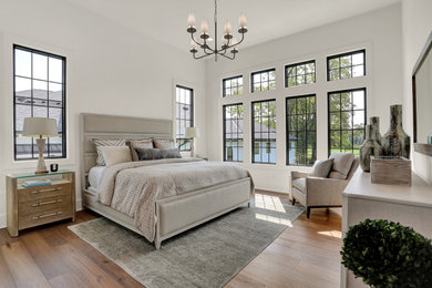 Trendy master bedroom photo in Indianapolis