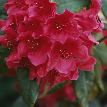 Bartlett Design Capabilities