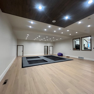 Project Trampoline Vault