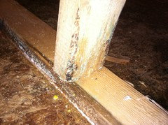 new home construction (mold)!!! : The astonishing image capturing a stunning landscape. Its colors are just bold and blend flawlessly. Its layout is great, with the particulars are also extremely clear.