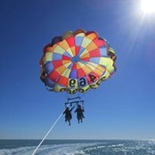 Nancy Paulette's photo