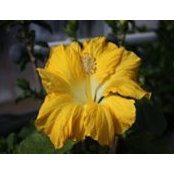 Melanie Phinney's photo